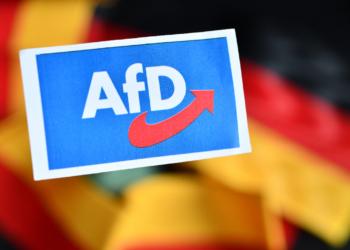 afd-präsentiert-wahlprogramm-für-2025