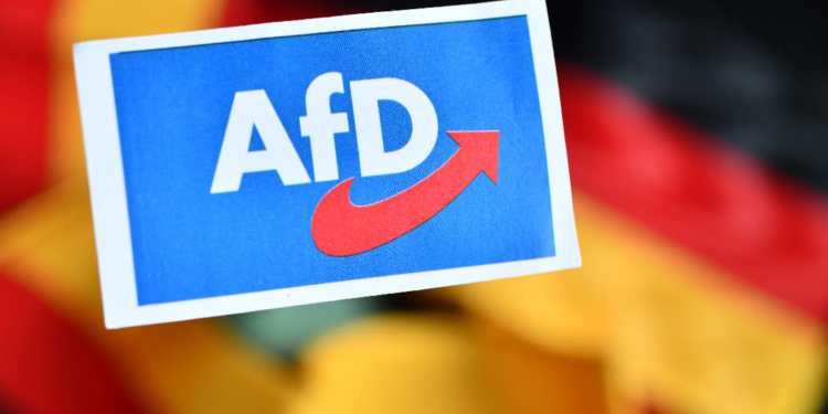 afd-präsentiert-wahlprogramm-für-2025