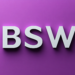 bsw-stellt-wahlprogramm-für-bundestagswahl-2025-vor