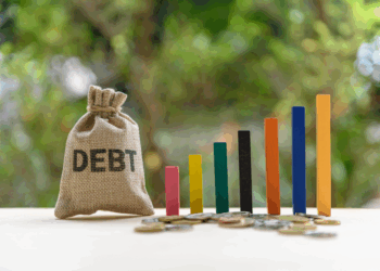 pro-kopf-verschuldung-erreicht-historischen-höchststand