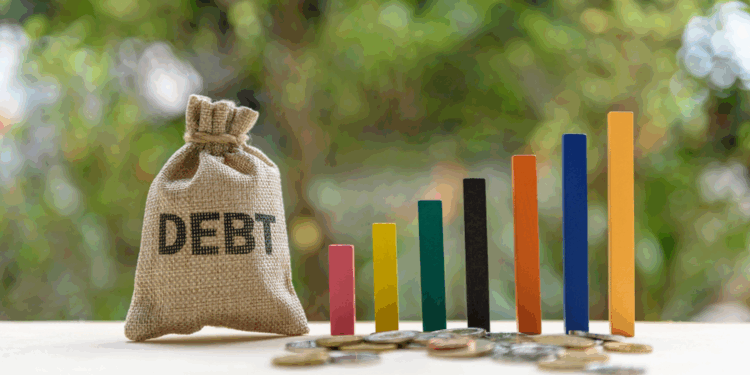 pro-kopf-verschuldung-erreicht-historischen-höchststand