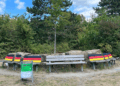 bemalte-parkbänke-mit-deutschlandflagge-entfachen-diskussion