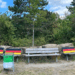 bemalte-parkbänke-mit-deutschlandflagge-entfachen-diskussion