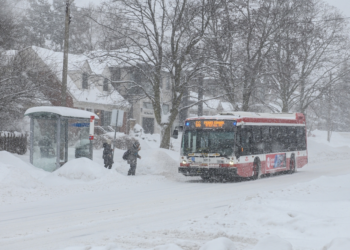 polare-kältefront-lähmt-nordamerika