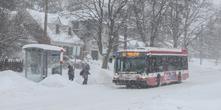 polare-kältefront-lähmt-nordamerika