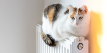 neue-heizregeln-treiben-gaspreise-nach-oben