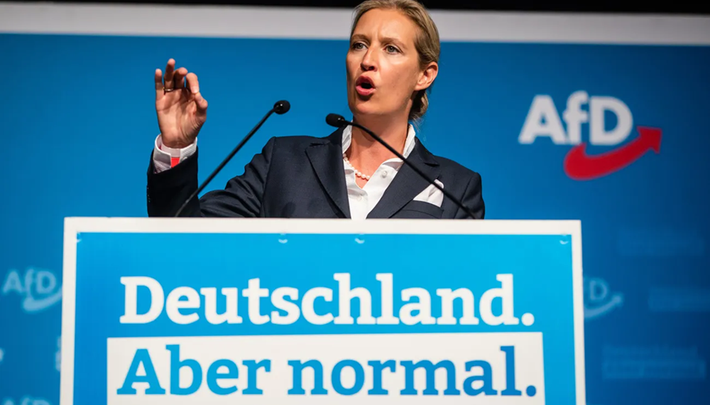 eilantrag-erfolgreich:-afd-vorerst-rehabilitiert